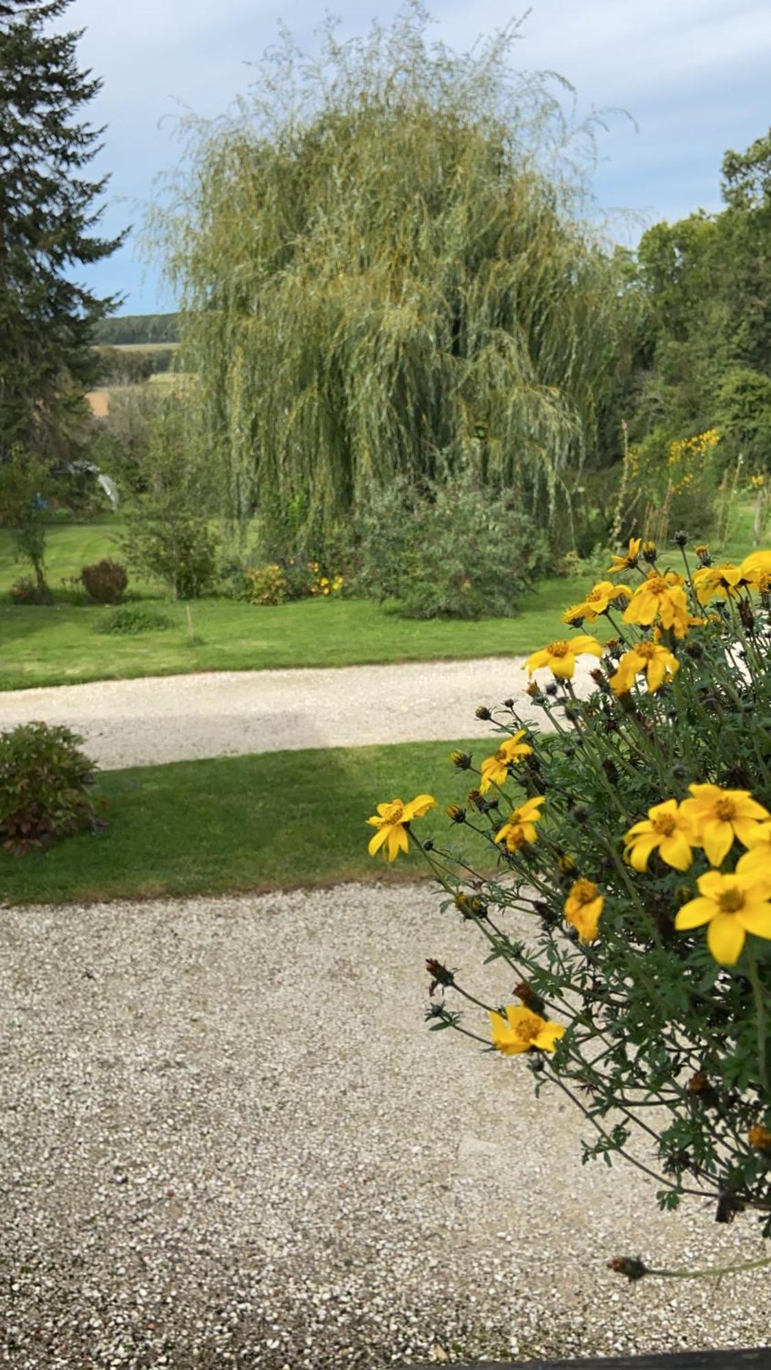 Pivoine Chambre D Hotes Fralignes Екстериор снимка