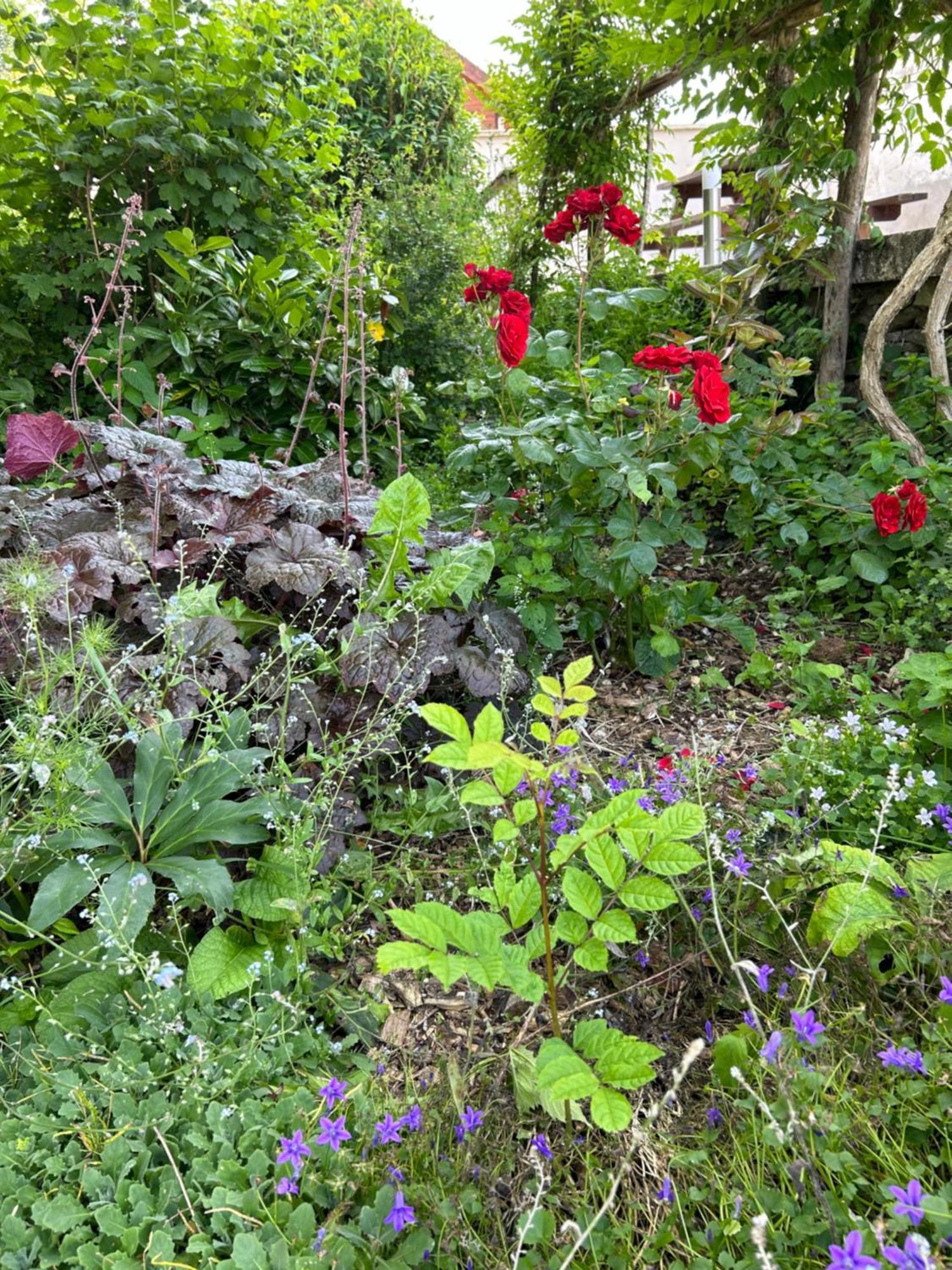 Pivoine Chambre D Hotes Fralignes Екстериор снимка