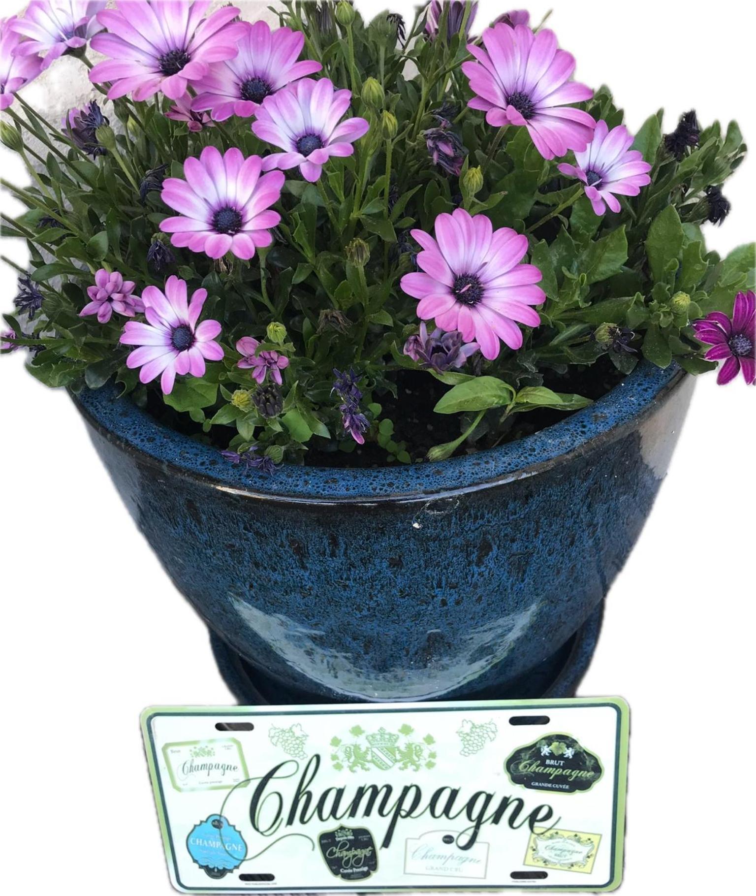 Pivoine Chambre D Hotes Fralignes Екстериор снимка
