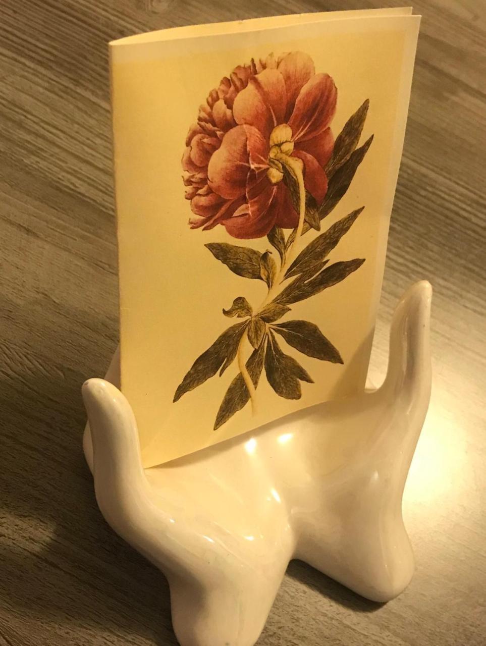 Pivoine Chambre D Hotes Fralignes Екстериор снимка
